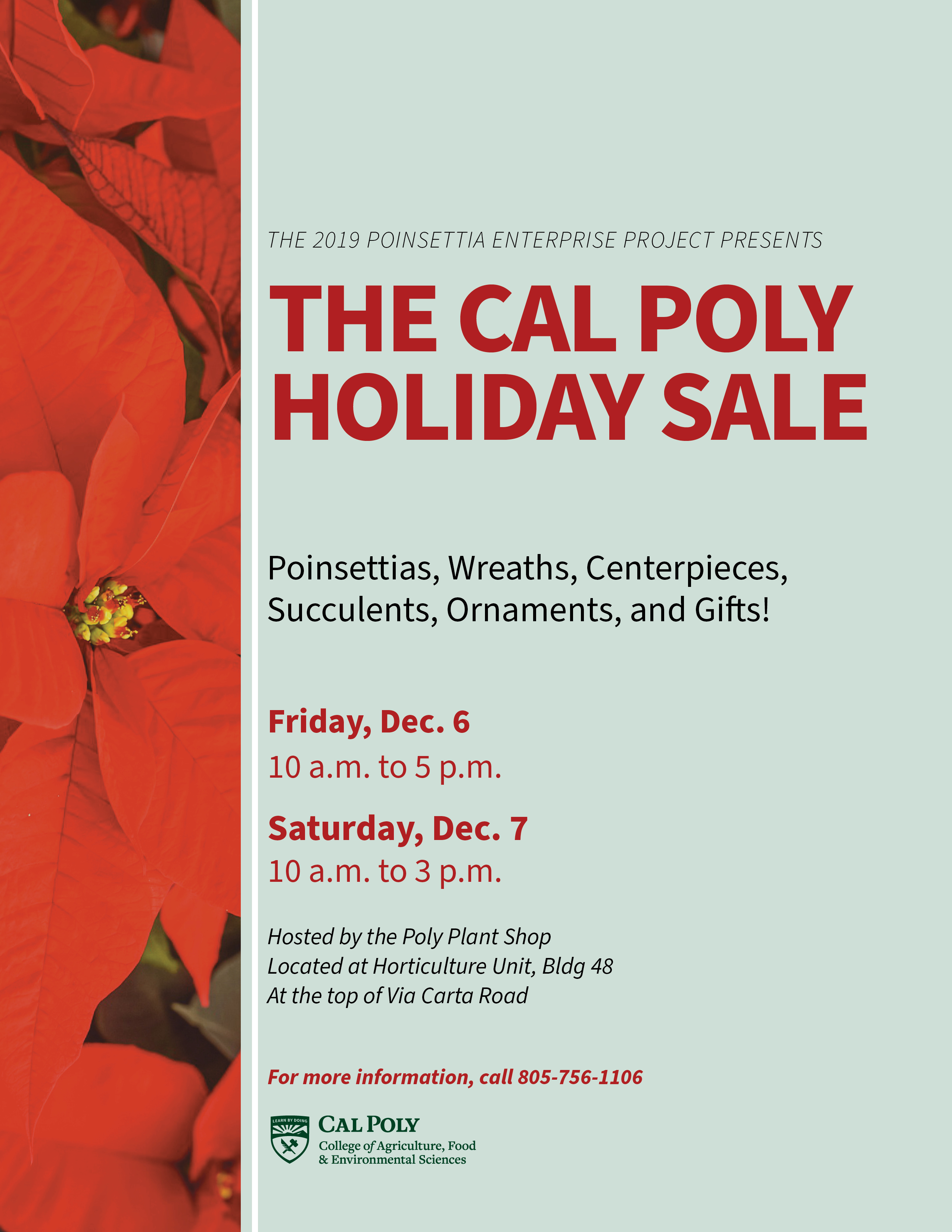 Poinsettias for sale at Cal Poly SLO Plant Shop San Luis Obispo Tribune